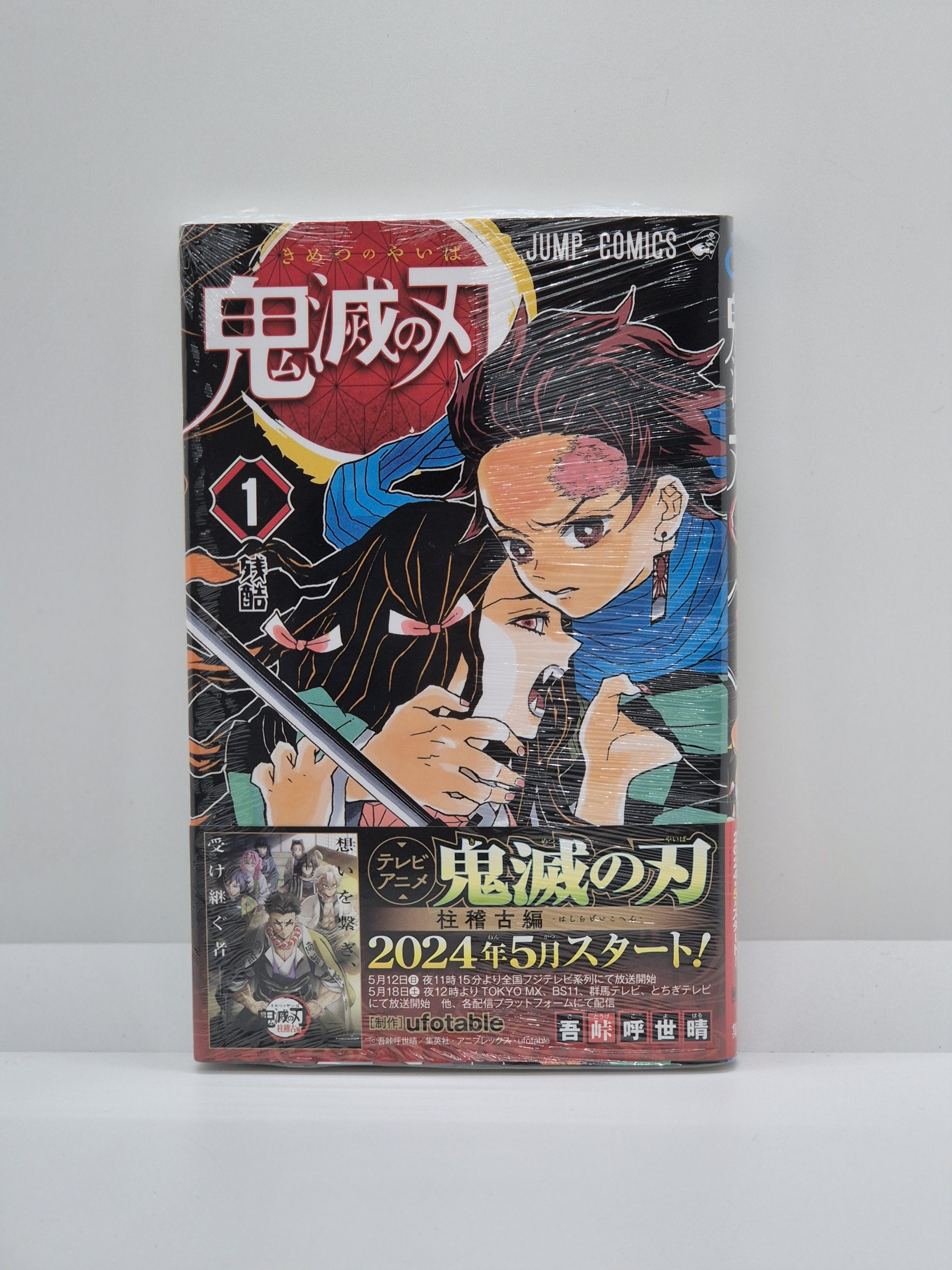 Demon Slayer Vol.1 + Obi