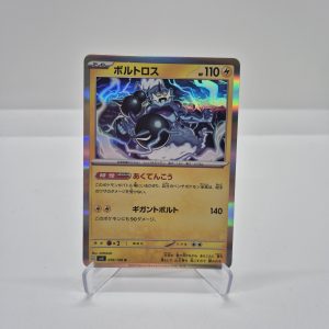 Thundurus (sv3 036)