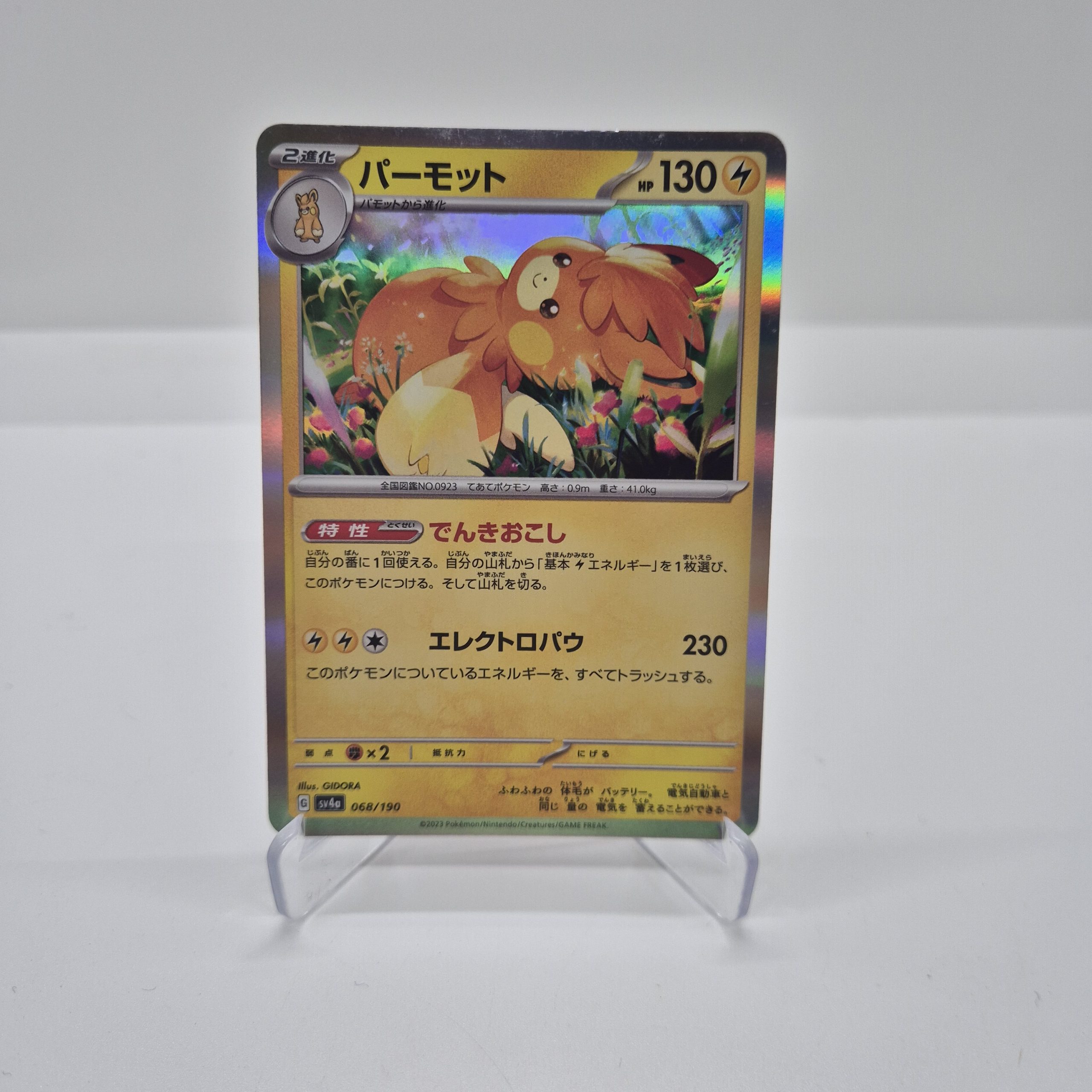 Pawmot (sv4a 068)