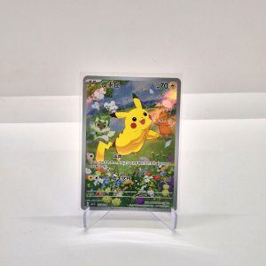 Pikachu (cbb1C 07/08/09)